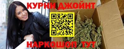 шишки Новозыбков
