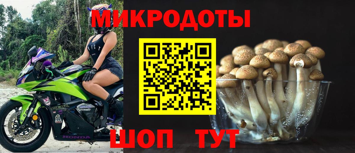 Верхняя Пышма  сколько стоит  Вход с VPN  Галлюциногенные грибы Psilocybine cubensis 